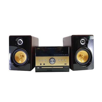 SA-TNK MINI COMPO DVD TIGER